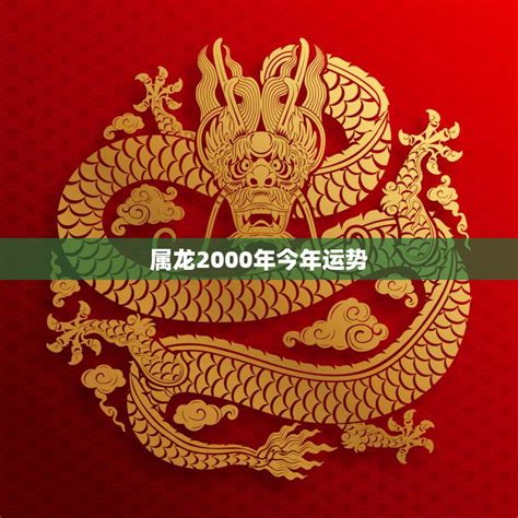 2000是什么龙|2000年的龙如何 (2000年属龙的人的命运)